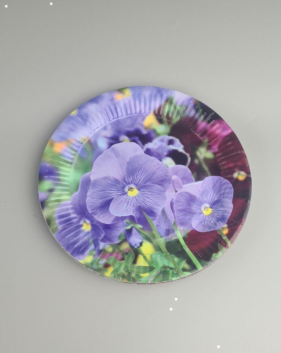 Бумажная тарелка с рисунком  18см