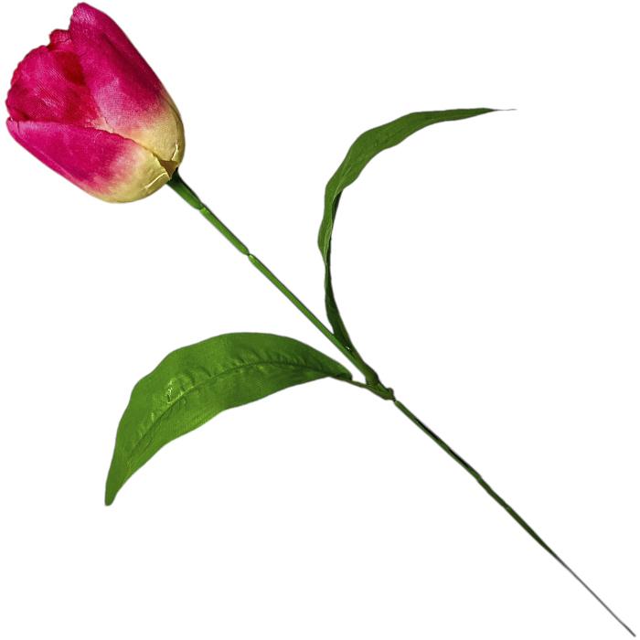 Тюльпан одиночный, 50см