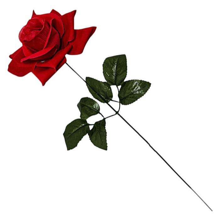 Роза бархатная Ритуал,  58см