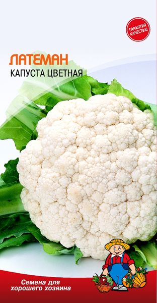 Семена Капуста ЦВЕТНАЯ ЛАТЕМАН – 0,5 г Семена Капуста ЦВЕТНАЯ ЛАТЕМАН – 0,5 г