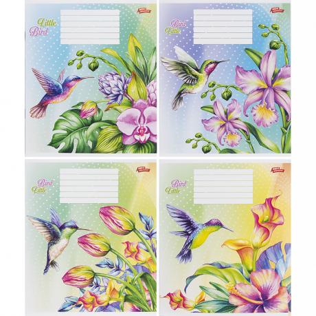 Тетрадь цветная 12 листов, линия "3042" D Тетрадь цветная 12 листов, линия "3042" D