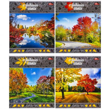 Тетрадь цветная 48 листов, линия 3474 Тетрадь цветная 48 листов, линия 3474