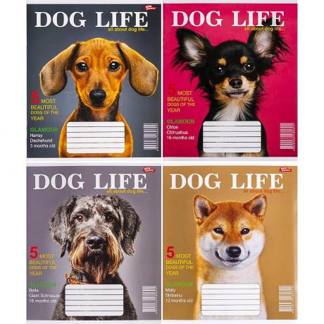 Зошит кольоровий 12 аркушів, клітинка 3546 N Зошит кольоровий 12 аркушів, клітинка 3546 N