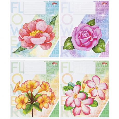 Зошит кольоровий 12 аркушів, лінія 3598 Зошит кольоровий 12 аркушів, лінія 3598