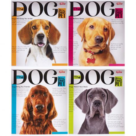 Зошит кольоровий 96 аркушів, лінія 3657 Зошит кольоровий 96 аркушів, лінія 3657