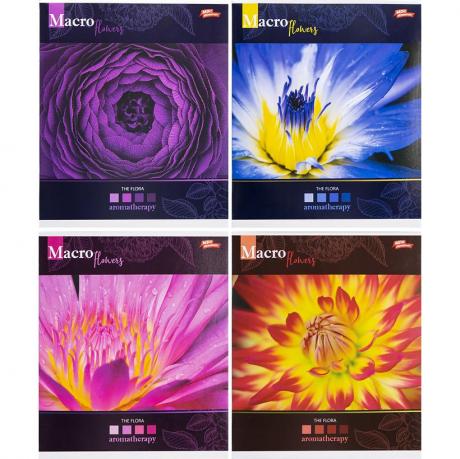 Зошит кольоровий 96 аркушів, лінія 3420 Зошит кольоровий 96 аркушів, лінія 3420