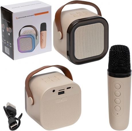 Бездротова система Караоке Колонка з LED Підсвічуванням + Мікрофон з функцією зміни голосу K12 Бездротова система Караоке Колонка з LED Підсвічуванням + Мікрофон з функцією зміни голосу K12