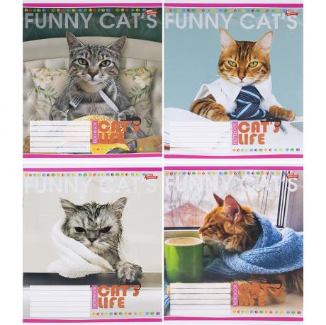 Зошит кольоровий 12 аркушів, лінія 3431 Зошит кольоровий 12 аркушів, лінія 3431