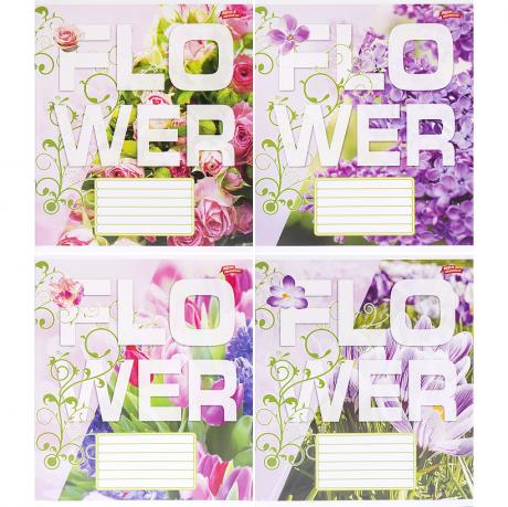 Зошит кольоровий 24 листи, клітина 3722 Зошит кольоровий 24 листи, клітина 3722