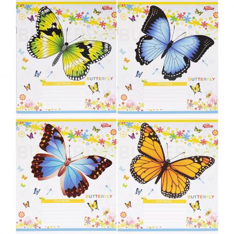 Зошит кольоровий 24 листи, клітина 3724 Зошит кольоровий 24 листи, клітина 3724