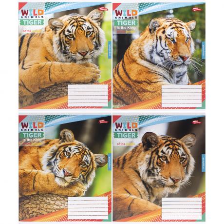 Зошит кольоровий 48 аркушів, клітинка 3737 Зошит кольоровий 48 аркушів, клітинка 3737