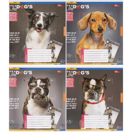 Зошит кольоровий 96 аркушів, клітинка 3727 Зошит кольоровий 96 аркушів, клітинка 3727