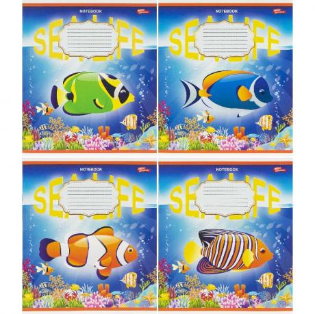 Зошит кольоровий 12 листів, клітина 3773 Зошит кольоровий 12 листів, клітина 3773