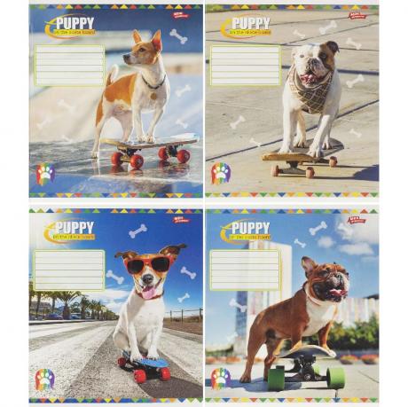 Зошит кольоровий 36 аркушів, клітинка 3754 Зошит кольоровий 36 аркушів, клітинка 3754