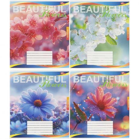 Зошит кольоровий 48 аркушів, клітинка 3813 Зошит кольоровий 48 аркушів, клітинка 3813