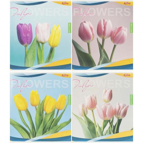 Зошит кольоровий 96 аркушів, клітинка 3791 Зошит кольоровий 96 аркушів, клітинка 3791