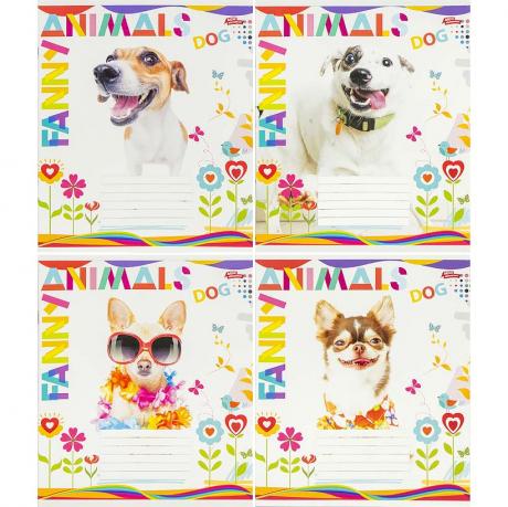 Зошит кольоровий 18 аркушів, клітинка 3797 Зошит кольоровий 18 аркушів, клітинка 3797