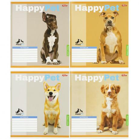 Зошит кольоровий 18 аркушів, клітинка 3855к Зошит кольоровий 18 аркушів, клітинка 3855к