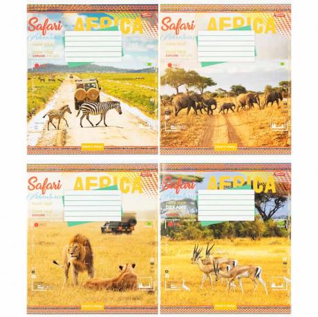 Зошит кольоровий 24 листи, клітина 3864 Зошит кольоровий 24 листи, клітина 3864