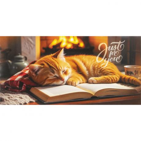 Конверт для грошей вітальний Чудового Дня народження! КВ 25-00 Конверт для грошей вітальний Чудового Дня народження! КВ 25-00