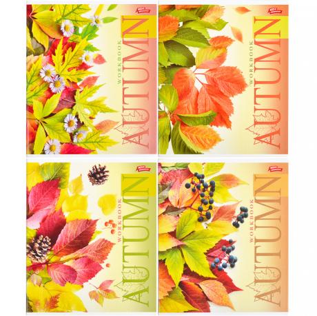 Тетрадь цветная 96 листов, линия "2924" N Тетрадь цветная 96 листов, линия "2924" N