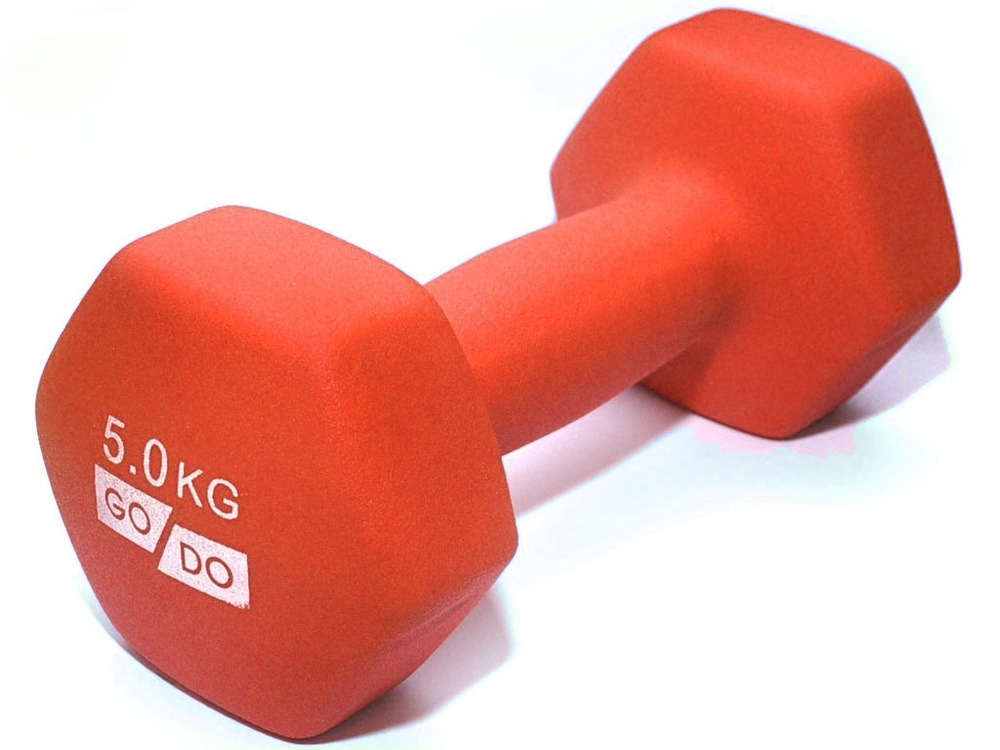 Гантели для фитнеса с виниловым матовым покрытием 2шт по 5кг GoDo GD-5.0MR