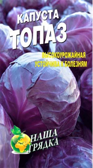 Семена Капуста краснокочанная Топаз Среднеспелый сорт 50сем. Семена Капуста краснокочанная Топаз Среднеспелый сорт 50сем.