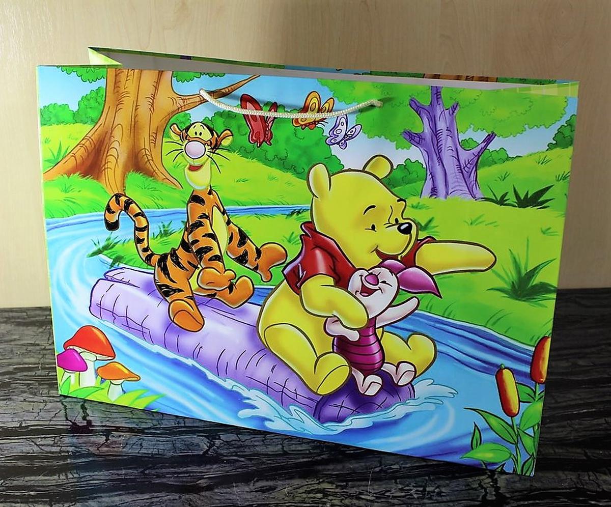 Пакет подарочный 150гр, 46 х 33 х 15см Unison (PVM463315C) Пакет подарочный 150гр, 46 х 33 х 15см Unison (PVM463315C)