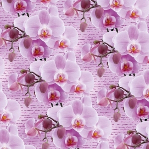 Бумага упаковочная мелованная 80г 10 листов 100 х 70см Розовый Unison (PVM10-264) Бумага упаковочная мелованная 80г 10 листов 100 х 70см Розовый Unison (PVM10-264)