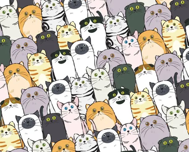 Бумага для упаковки подарков 10 листов 100 х 70см 50г (PCZ10070-10-616) Бумага для упаковки подарков 10 листов 100 х 70см 50г (PCZ10070-10-616)