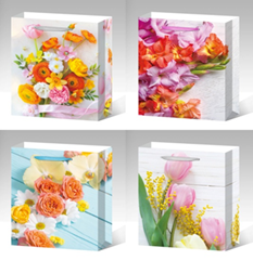 Пакет подарочный 210гр, 18 x 24 x 8,5см (12шт/уп) Разноцветный Unison (DV-2109 S) Пакет подарочный 210гр, 18 x 24 x 8,5см (12шт/уп) Разноцветный Unison (DV-2109 S)